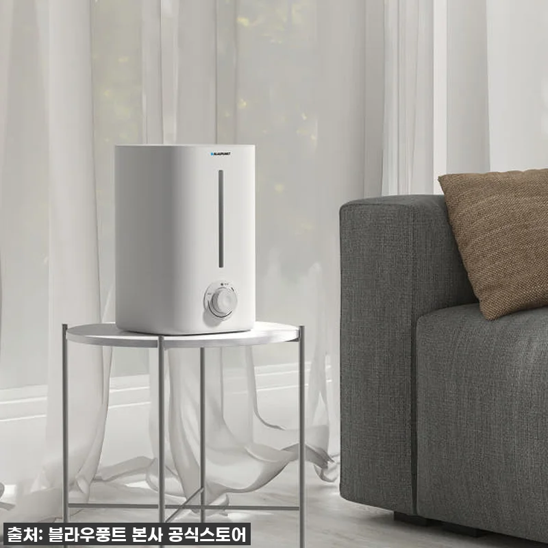 진짜 써보고 깜짝 놀란! 블라우풍트 관련 이미지 8