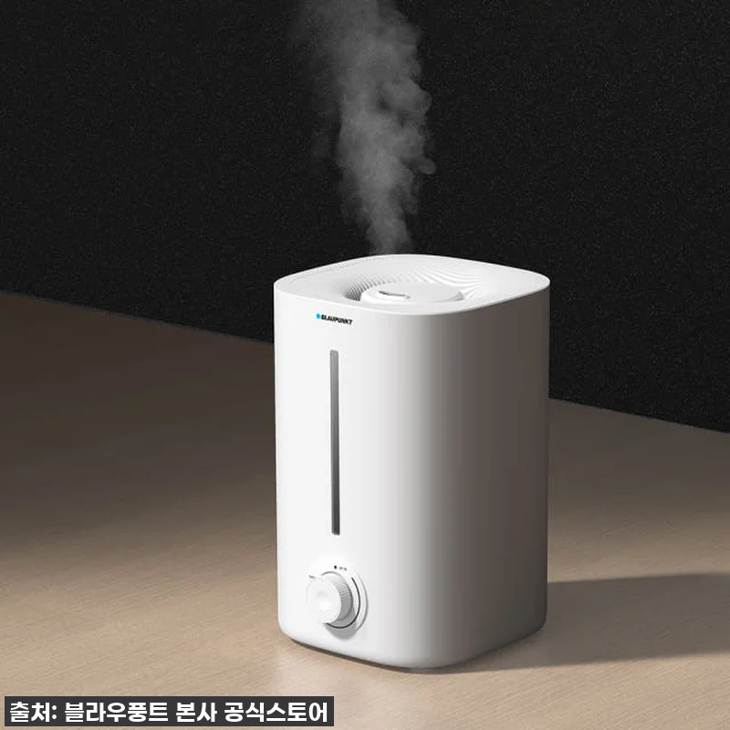 진짜 써보고 깜짝 놀란! 블라우풍트 관련 이미지 9