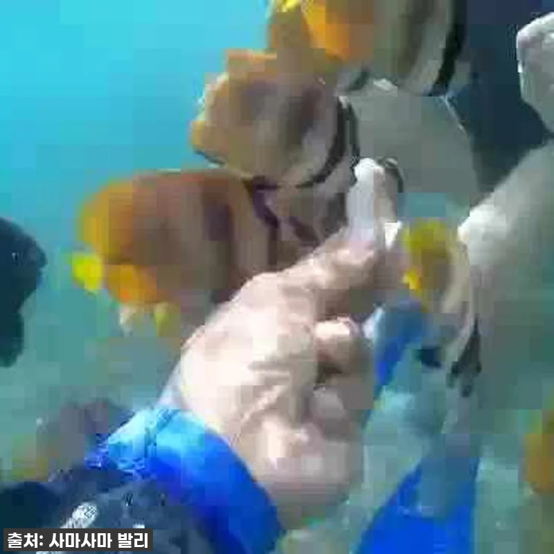 발리 블루라군 스노쿨링, 인생샷+꿀잼 보장! 품절 임박! 서두르세요! 22 발리 블루라군 스노쿨링, 인생샷+꿀잼 관련 이미지 10