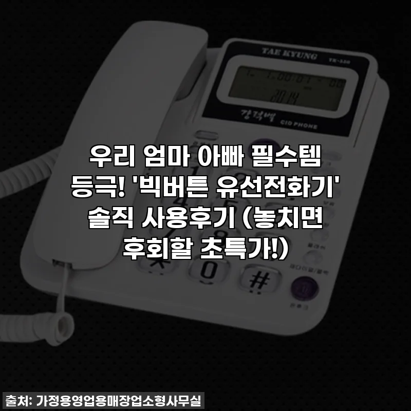 우리 엄마 아빠 필수템 등극! '빅버튼 유선전화기' 솔직 사용후기 (놓치면 후회할 초특가!)