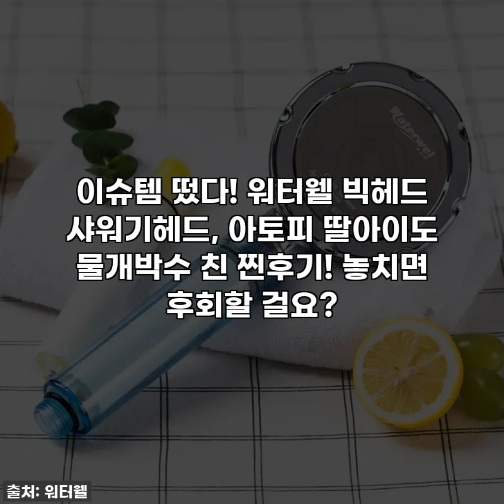 이슈템 떴다! 워터웰 빅헤드 샤워기헤드, 아토피 딸아이도 물개박수 친 찐후기! 놓치면 후회할 걸요?