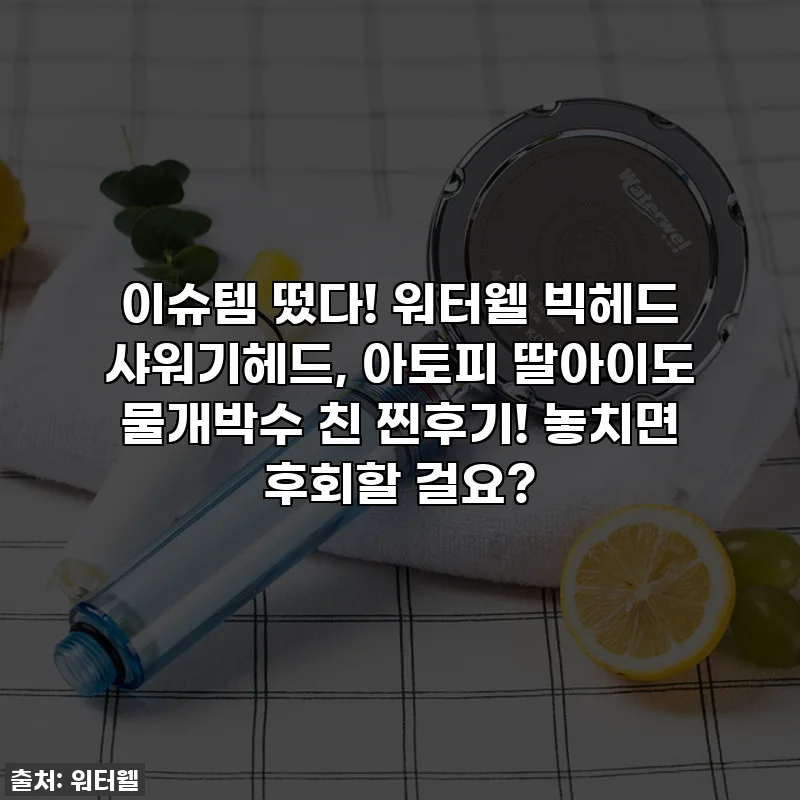 이슈템 떴다! 워터웰 빅헤드 샤워기헤드, 아토피 딸아이도 물개박수 친 찐후기! 놓치면 후회할 걸요?
