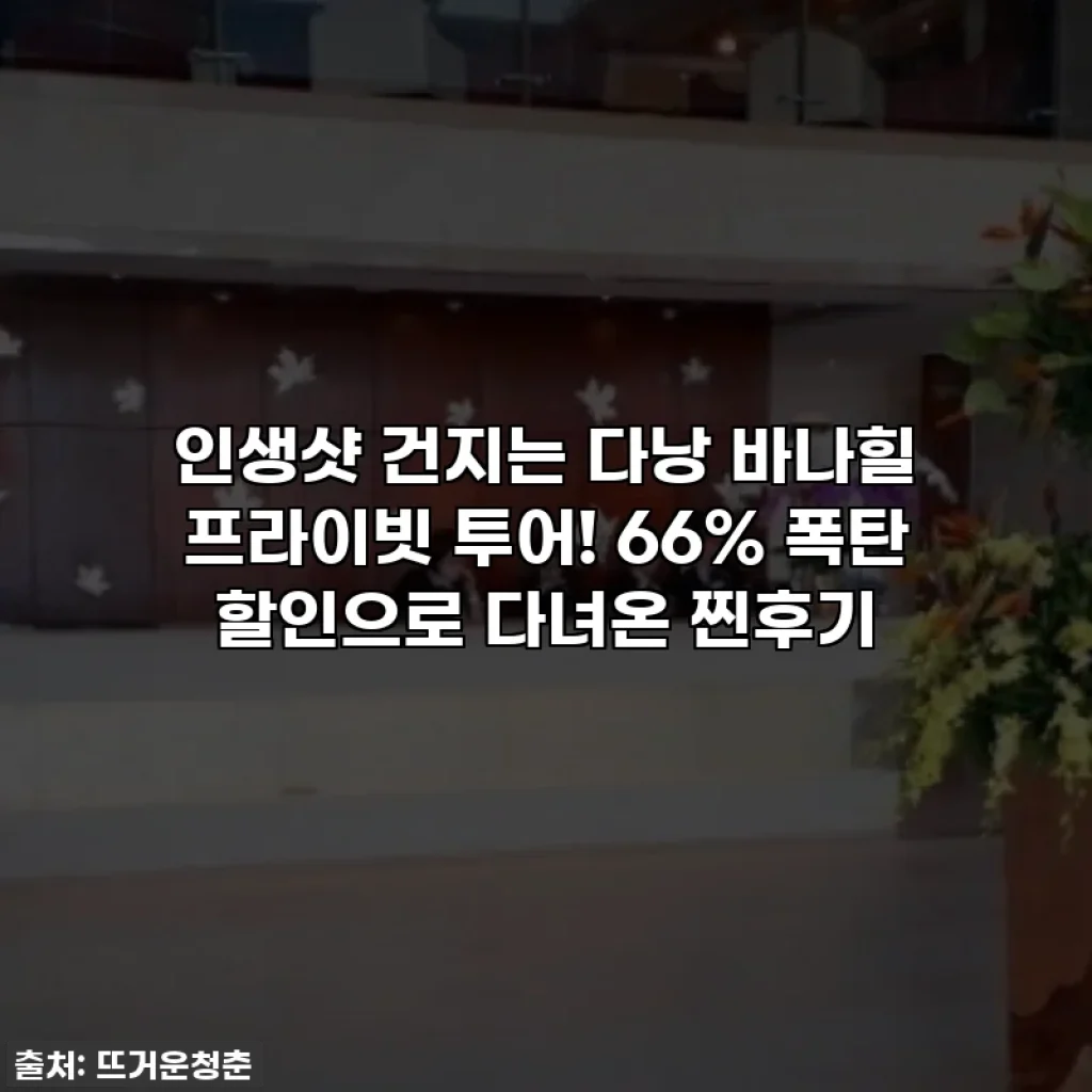 인생샷 건지는 다낭 바나힐 프라이빗 투어! 66% 폭탄 할인으로 다녀온 찐후기