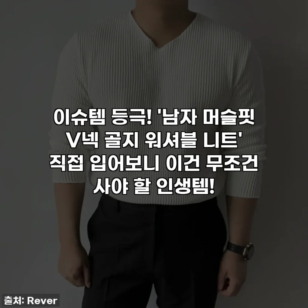 이슈템 등극! '남자 머슬핏 V넥 골지 워셔블 니트' 직접 입어보니 이건 무조건 사야 할 인생템!
