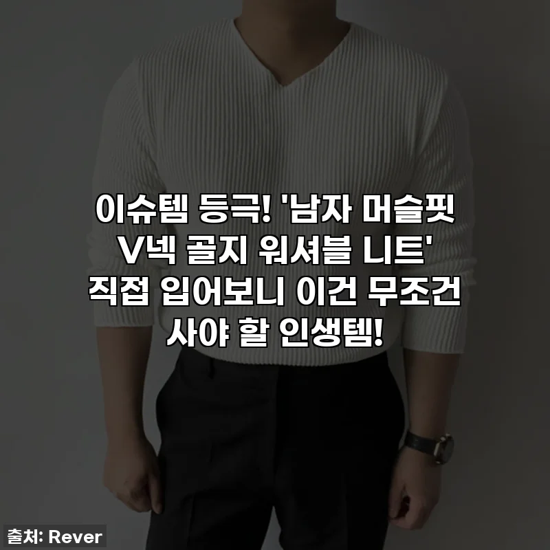 이슈템 등극! '남자 머슬핏 V넥 골지 워셔블 니트' 직접 입어보니 이건 무조건 사야 할 인생템!