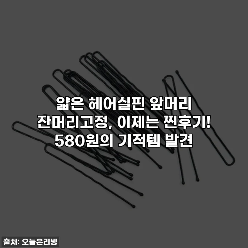 얇은 헤어실핀 앞머리 잔머리고정, 이제는 찐후기! 580원의 기적템 발견