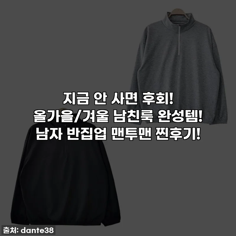 지금 안 사면 후회! 올가을/겨울 남친룩 완성템! 남자 반집업 맨투맨 찐후기!