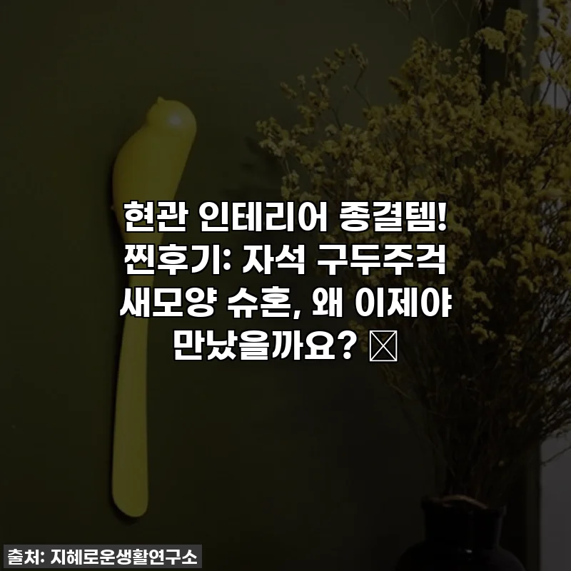 현관 인테리어 종결템! 찐후기: 자석 구두주걱 새모양 슈혼, 왜 이제야 만났을까요? ✨