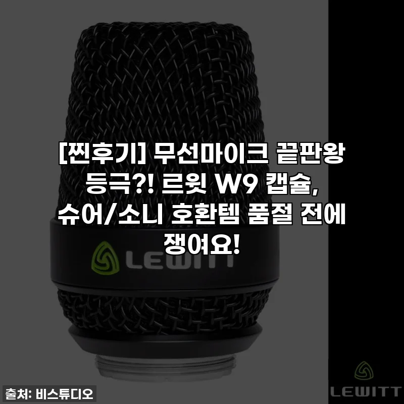 [찐후기] 무선마이크 끝판왕 등극?! 르윗 W9 캡슐, 슈어/소니 호환템 품절 전에 쟁여요!