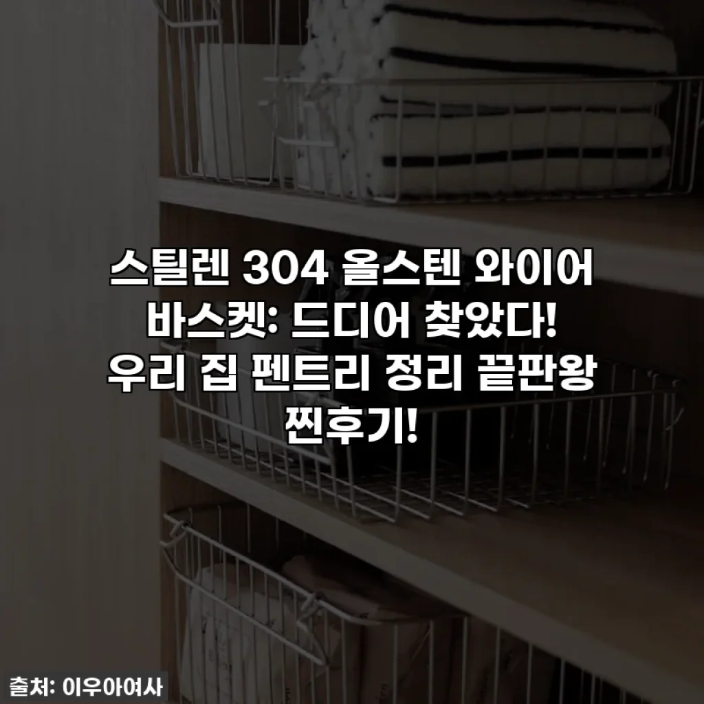 스틸렌 304 올스텐 와이어 바스켓: 드디어 찾았다! 우리 집 펜트리 정리 끝판왕 찐후기!