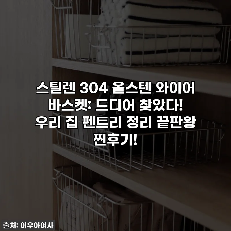 스틸렌 304 올스텐 와이어 바스켓: 드디어 찾았다! 우리 집 펜트리 정리 끝판왕 찐후기!