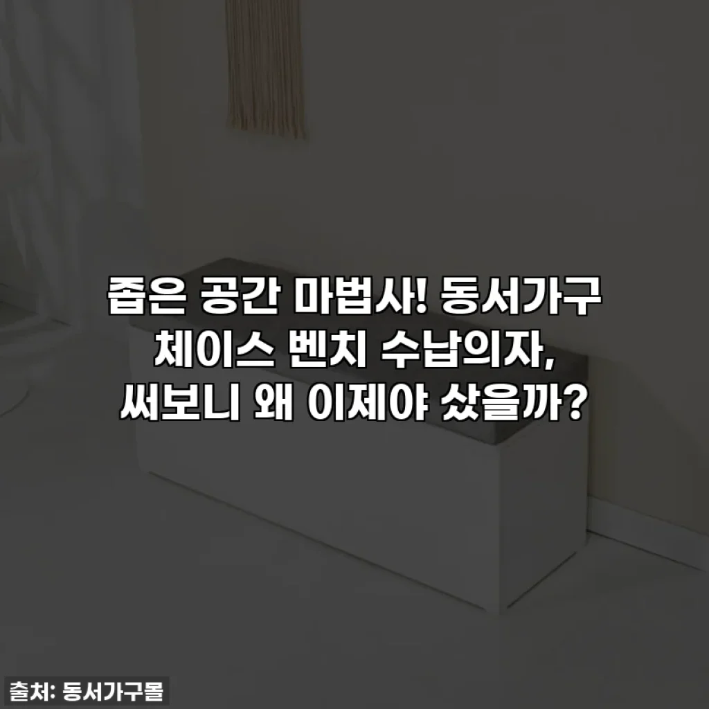 좁은 공간 마법사! 동서가구 체이스 벤치 수납의자, 써보니 왜 이제야 샀을까?