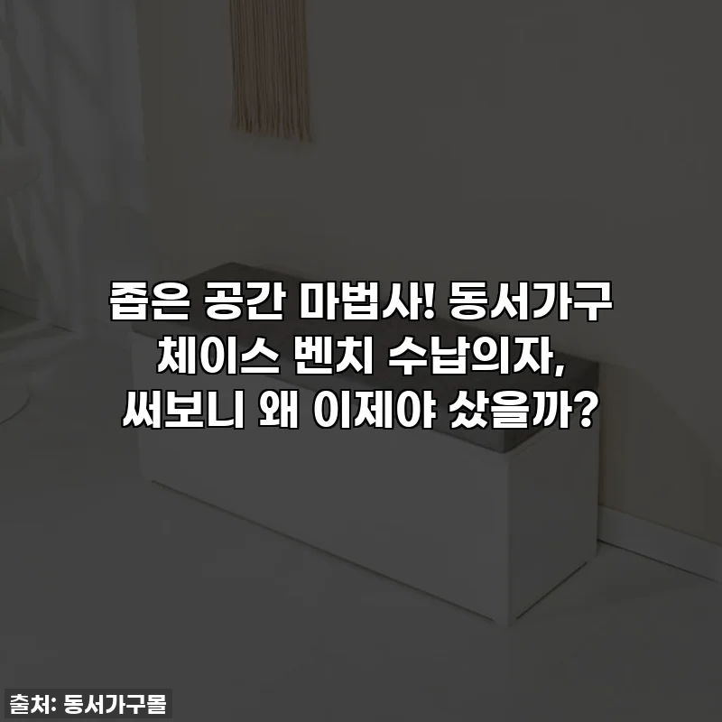 좁은 공간 마법사! 동서가구 체이스 벤치 수납의자, 써보니 왜 이제야 샀을까?