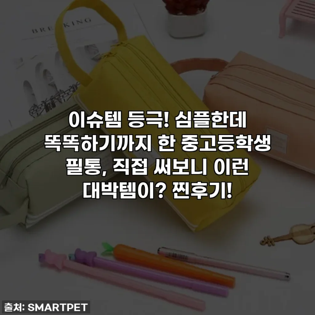 이슈템 등극! 심플한데 똑똑하기까지 한 중고등학생 필통, 직접 써보니 이런 대박템이? 찐후기!