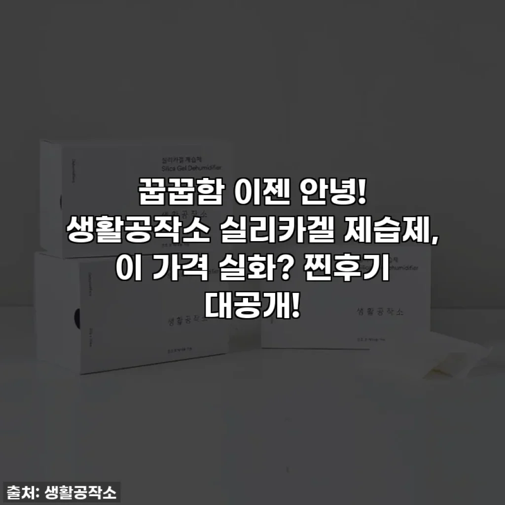 꿉꿉함 이젠 안녕! 생활공작소 실리카겔 제습제, 이 가격 실화? 찐후기 대공개!