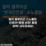 발리 블루라군 스노쿨링, 인생샷+꿀잼 보장! 품절 임박! 서두르세요!