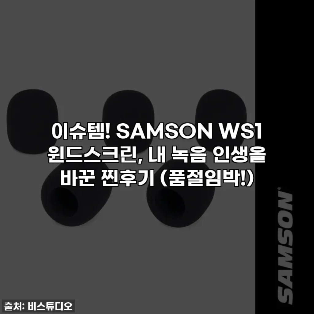 이슈템! SAMSON WS1 윈드스크린, 내 녹음 인생을 바꾼 찐후기 (품절임박!)