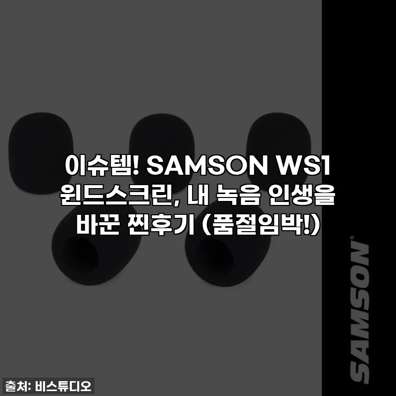 이슈템! SAMSON WS1 윈드스크린, 내 녹음 인생을 바꾼 찐후기 (품절임박!)