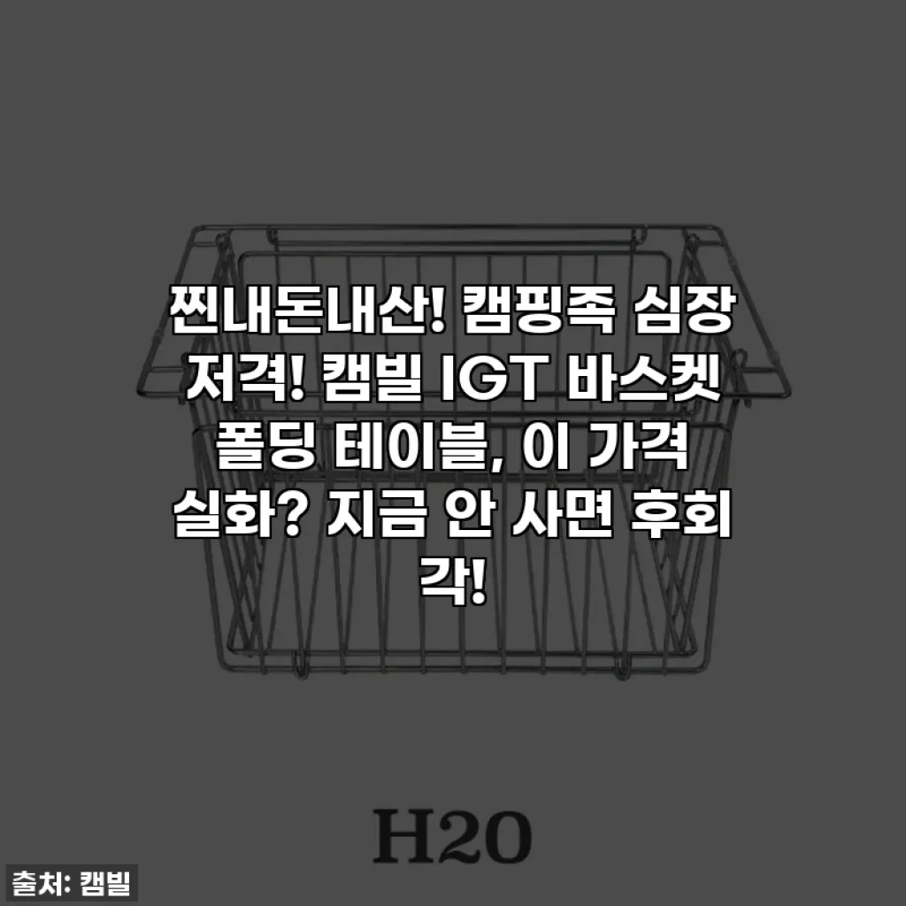 찐내돈내산! 캠핑족 심장 저격! 캠빌 IGT 바스켓 폴딩 테이블, 이 가격 실화? 지금 안 사면 후회 각!