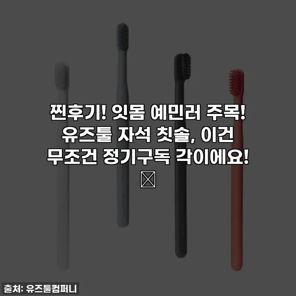 찐후기! 잇몸 예민러 주목! 유즈툴 자석 칫솔, 이건 무조건 정기구독 각이에요! 💖