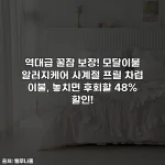 역대급 꿀잠 보장! 모달이불 알러지케어 사계절 프릴 차렵 이불, 놓치면 후회할 48% 할인!