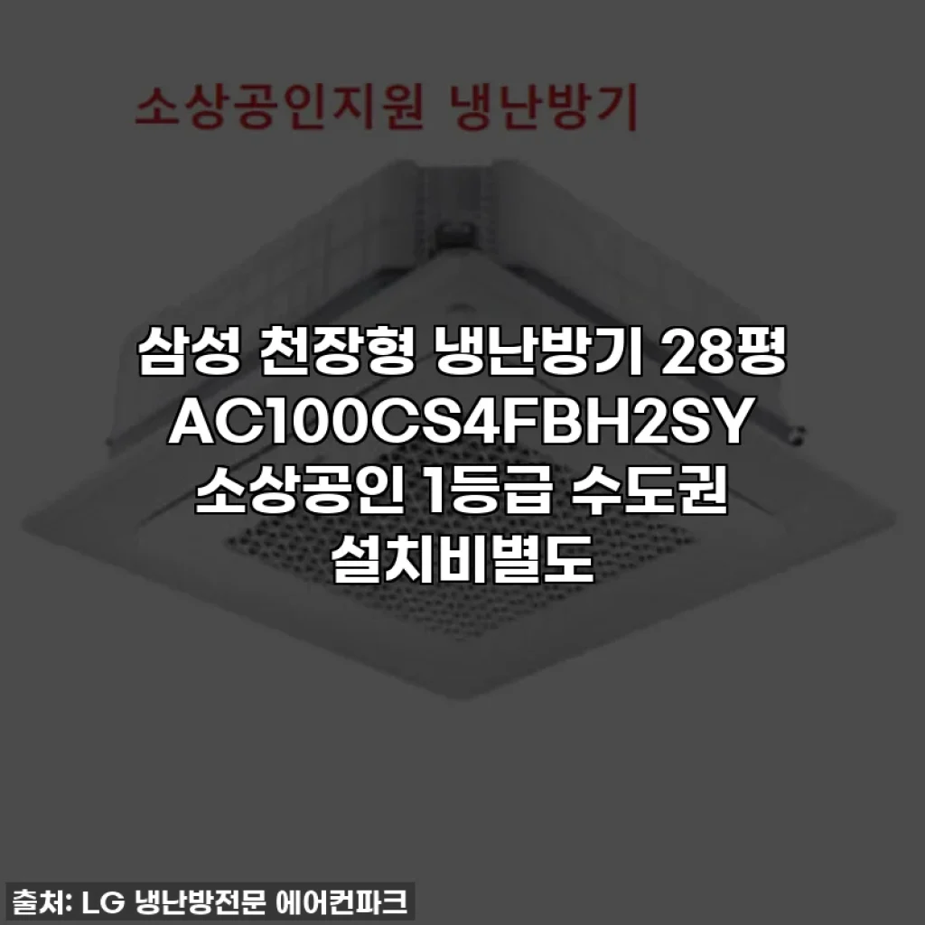 삼성 천장형 냉난방기 28평 AC100CS4FBH2SY 소상공인 1등급 수도권 설치비별도