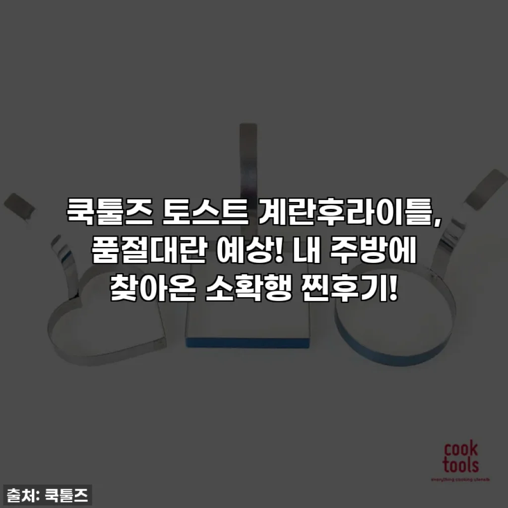쿡툴즈 토스트 계란후라이틀, 품절대란 예상! 내 주방에 찾아온 소확행 찐후기!