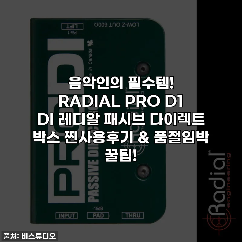 음악인의 필수템! RADIAL PRO D1 DI 레디알 패시브 다이렉트 박스 찐사용후기 & 품절임박 꿀팁!