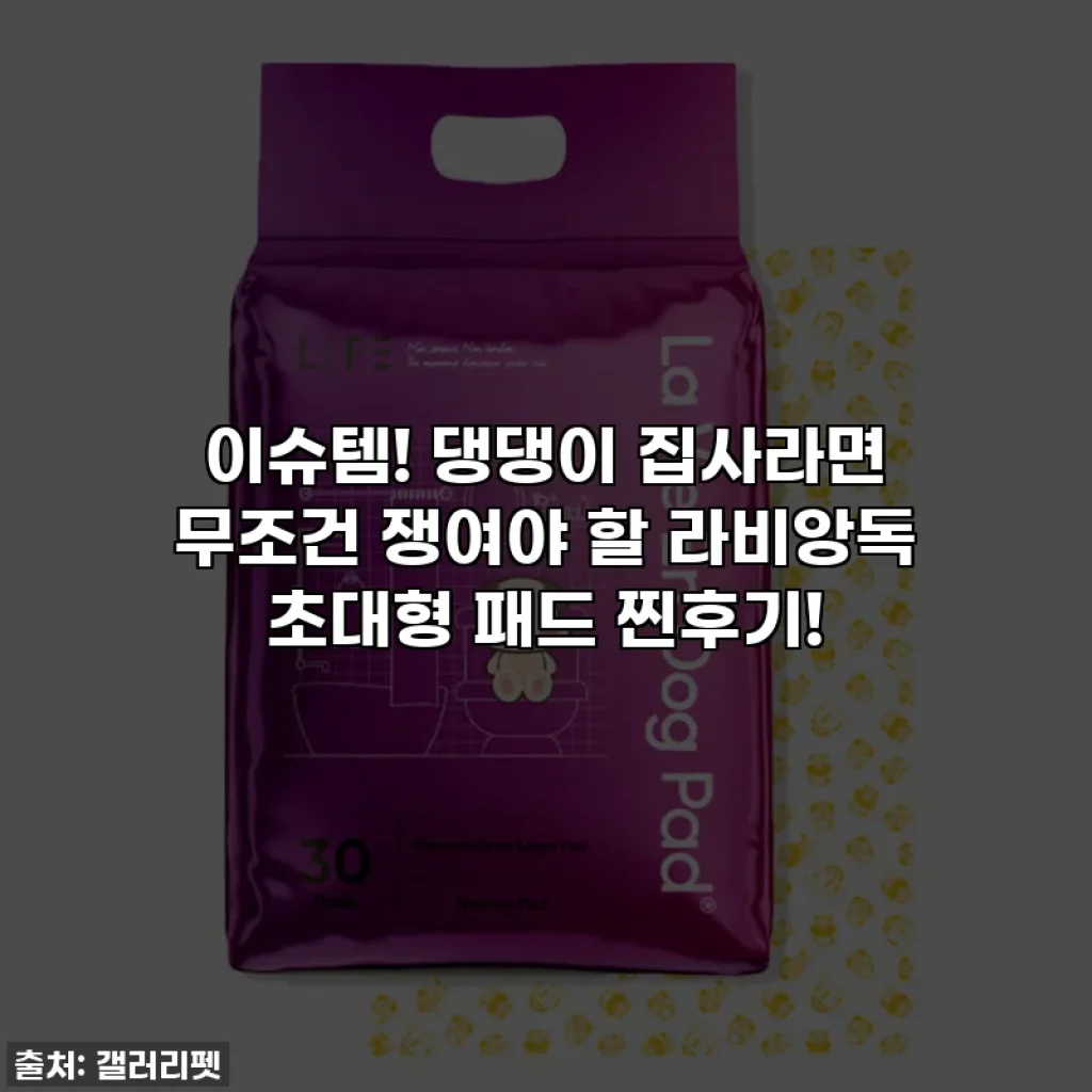 이슈템! 댕댕이 집사라면 무조건 쟁여야 할 라비앙독 초대형 패드 찐후기!