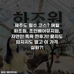 Home 31 제주도 필수 코스? 애월 화조원, 조안베어뮤지엄, 자연인 족욕 찐후기! 묻지도 따지지도 말고 이 가격 실화?!