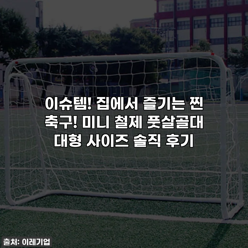 이슈템! 집에서 즐기는 찐 축구! 미니 철제 풋살골대 대형 사이즈 솔직 후기