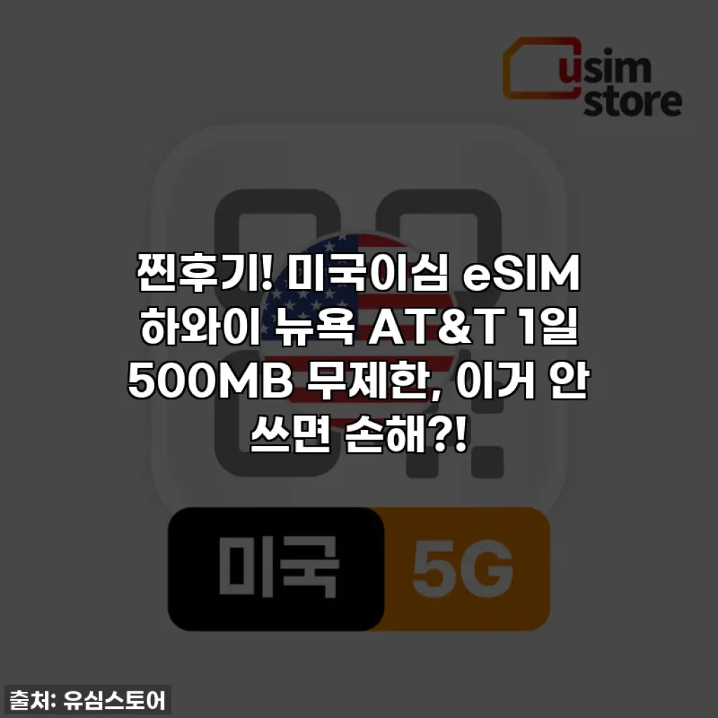 찐후기! 미국이심 eSIM 하와이 뉴욕 AT&T 1일 500MB 무제한, 이거 안 쓰면 손해?!