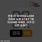 찐후기! 미국이심 eSIM 하와이 뉴욕 AT&T 1일 500MB 무제한, 이거 안 쓰면 손해?!