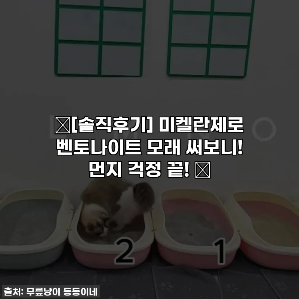 ✨[솔직후기] 미켈란제로 벤토나이트 모래 써보니! 먼지 걱정 끝! ✨