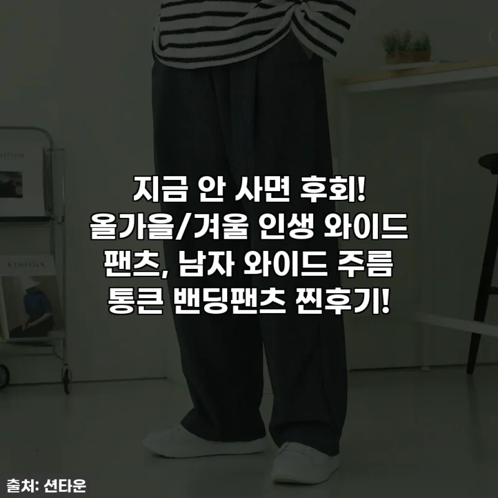지금 안 사면 후회! 올가을/겨울 인생 와이드 팬츠, 남자 와이드 주름 통큰 밴딩팬츠 찐후기!