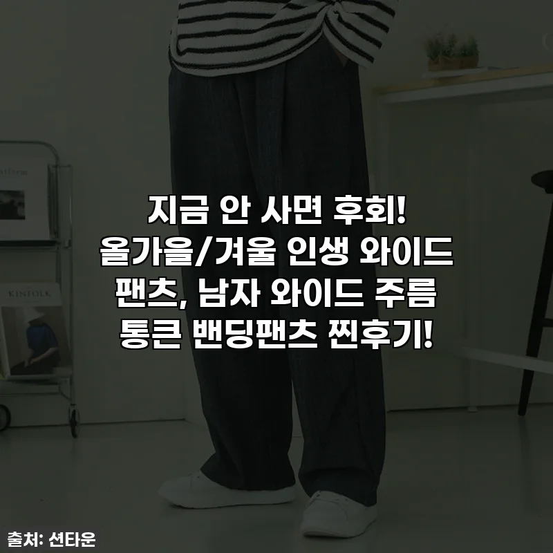 지금 안 사면 후회! 올가을/겨울 인생 와이드 팬츠, 남자 와이드 주름 통큰 밴딩팬츠 찐후기!