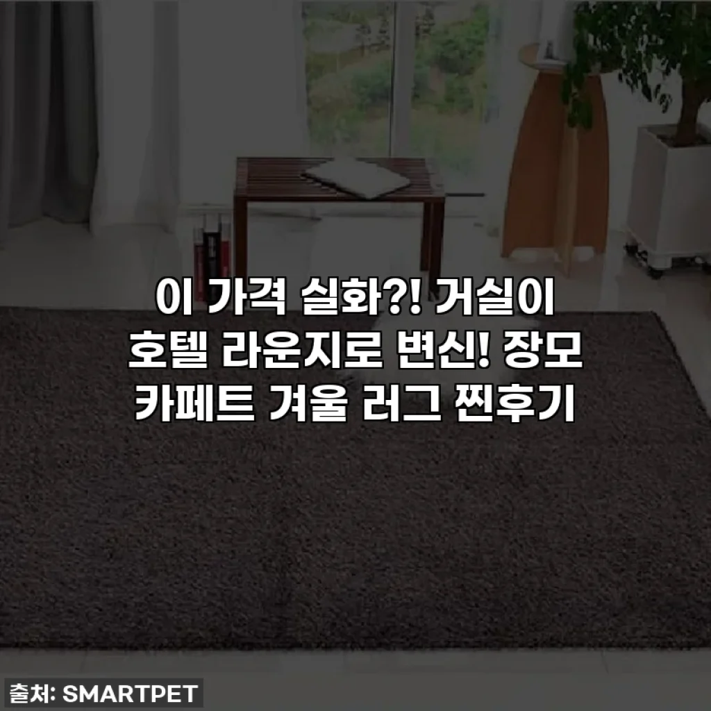 이 가격 실화?! 거실이 호텔 라운지로 변신! 장모 카페트 겨울 러그 찐후기