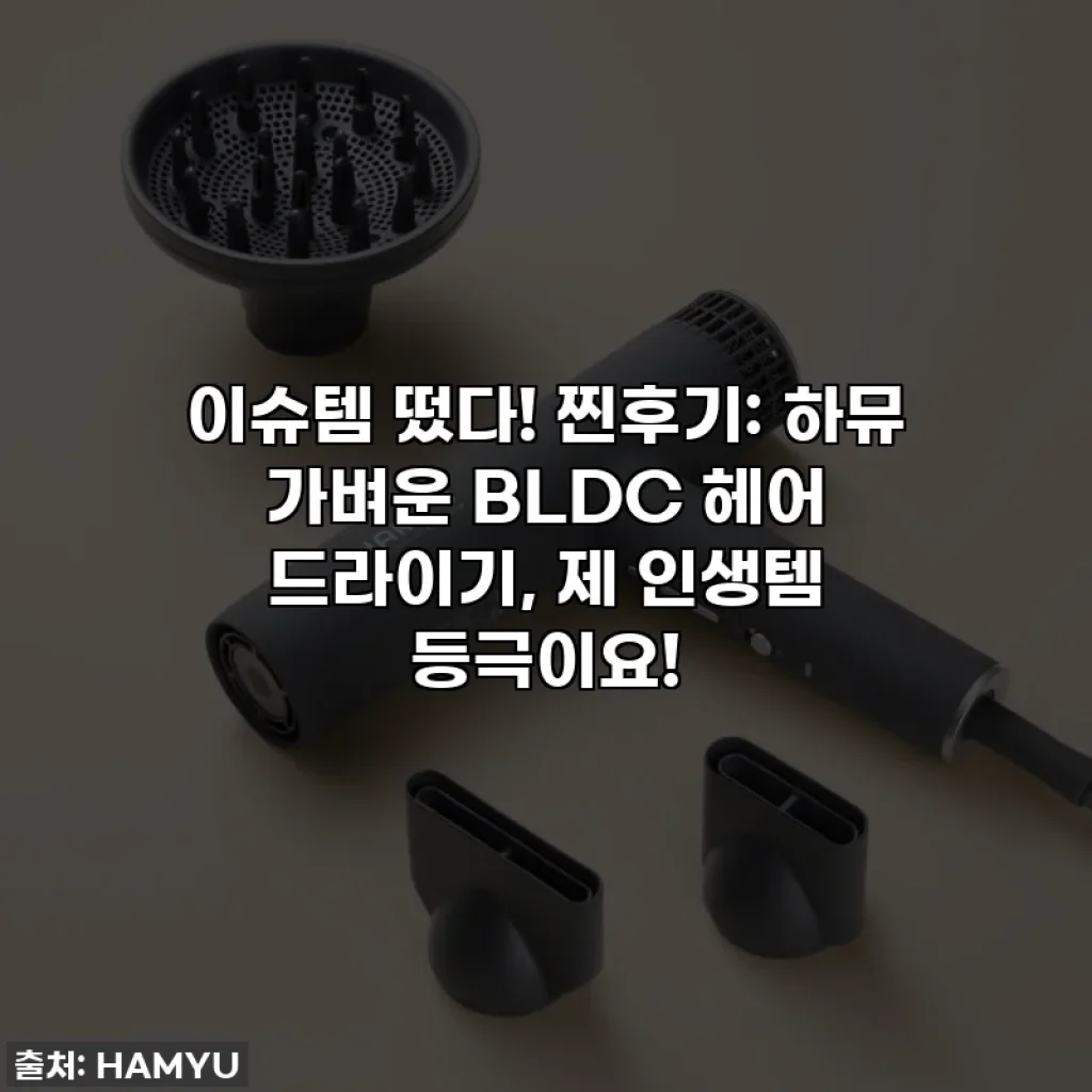 이슈템 떴다! 찐후기: 하뮤 가벼운 BLDC 헤어 드라이기, 제 인생템 등극이요!
