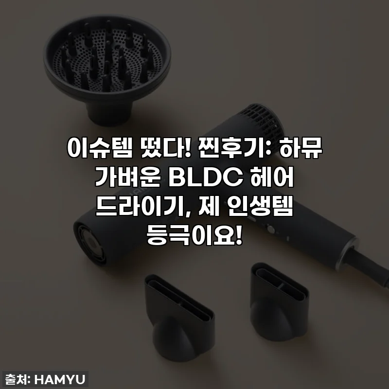 이슈템 떴다! 찐후기: 하뮤 가벼운 BLDC 헤어 드라이기, 제 인생템 등극이요!