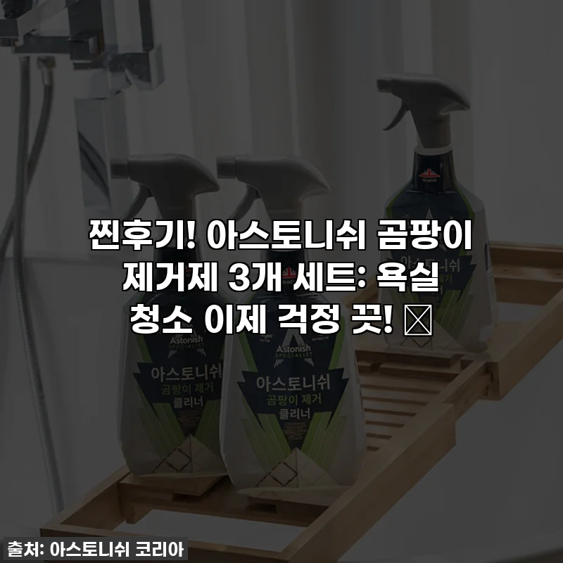 찐후기! 아스토니쉬 곰팡이 제거제 3개 세트: 욕실 청소 이제 걱정 끗! ✨