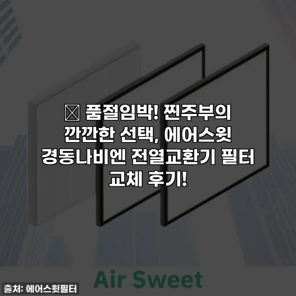 ✨ 품절임박! 찐주부의 깐깐한 선택, 에어스윗 경동나비엔 전열교환기 필터 교체 후기!