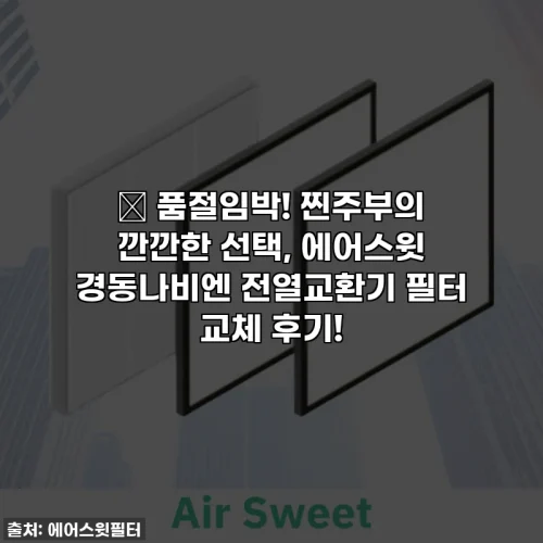 Home 76 ✨ 품절임박! 찐주부의 깐깐한 선택, 에어스윗 경동나비엔 전열교환기 필터 교체 후기!
