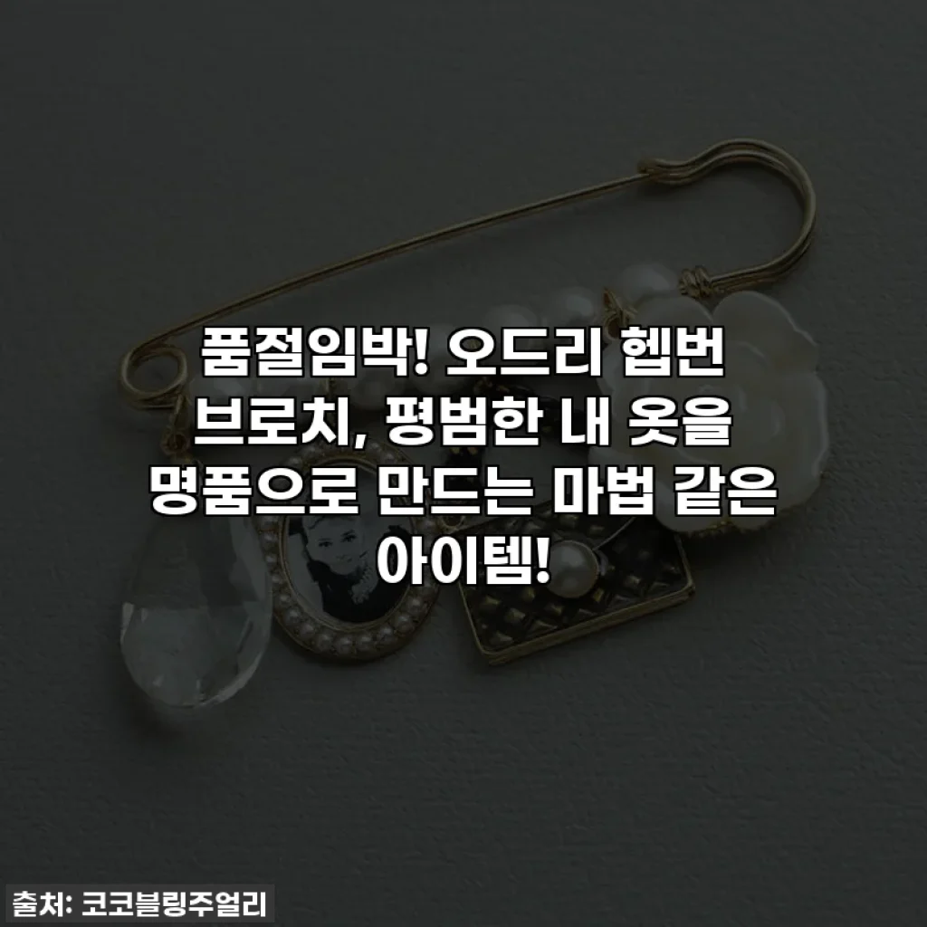 품절임박! 오드리 헵번 브로치, 평범한 내 옷을 명품으로 만드는 마법 같은 아이템!