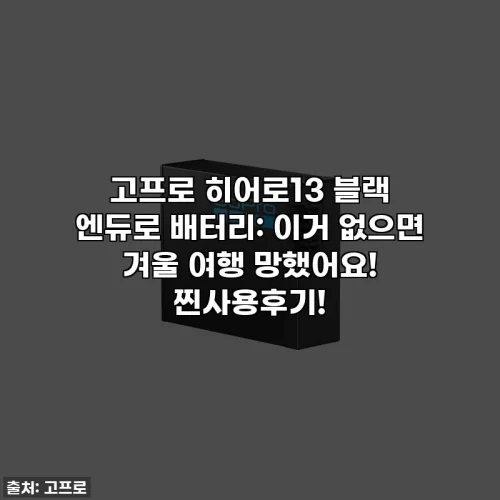 고프로 히어로13 블랙 엔듀로 배터리: 이거 없으면 겨울 여행 망했어요! 찐사용후기!
