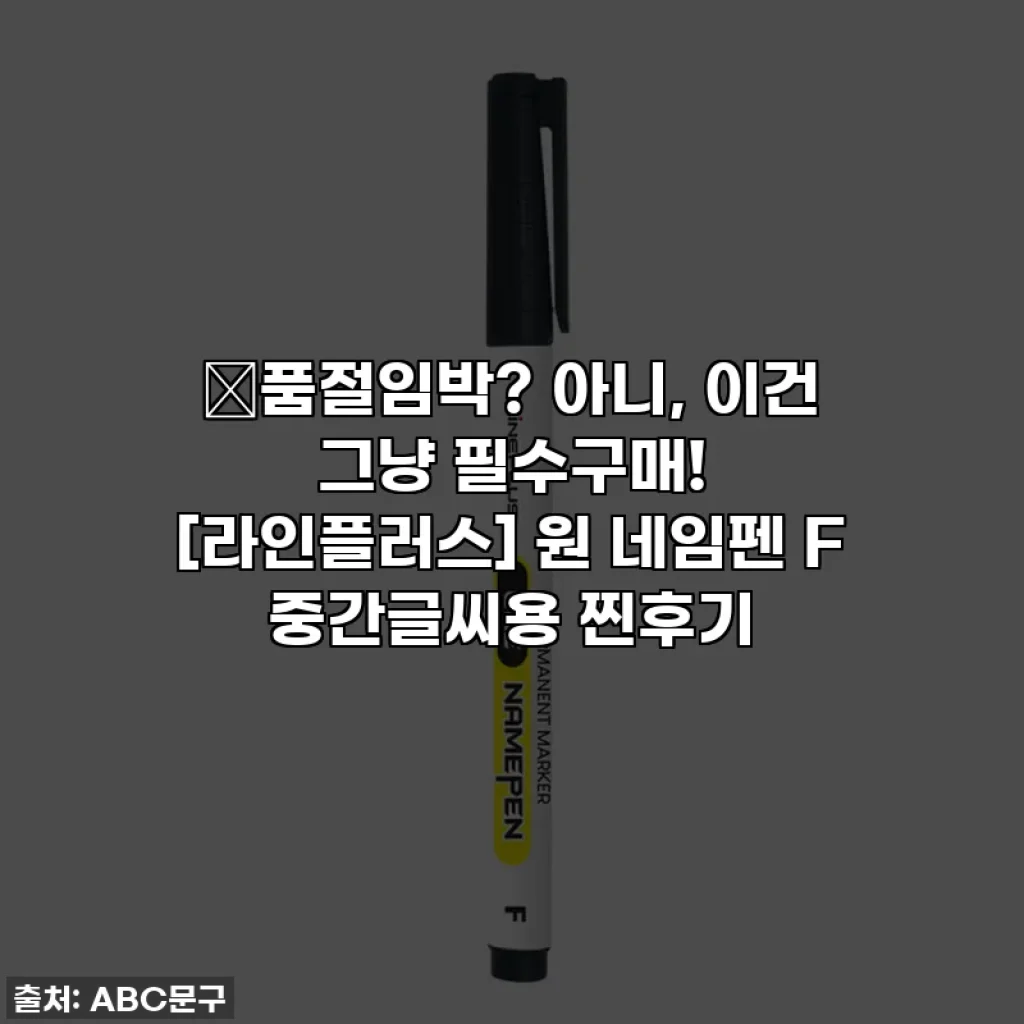 🔥품절임박? 아니, 이건 그냥 필수구매! [라인플러스] 원 네임펜 F 중간글씨용 찐후기