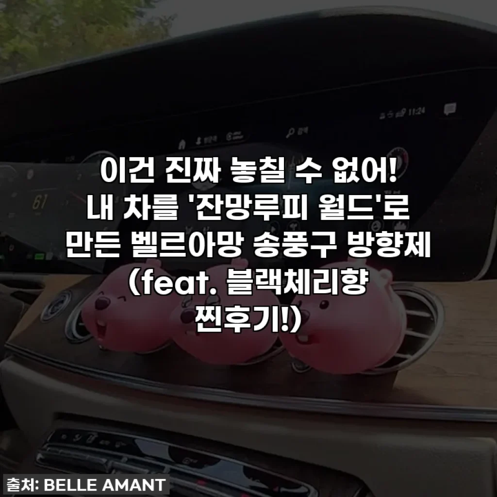 이건 진짜 놓칠 수 없어! 내 차를 '잔망루피 월드'로 만든 벨르아망 송풍구 방향제 (feat. 블랙체리향 찐후기!)