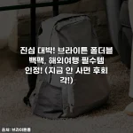 진심 대박! 브라이튼 폴더블 백팩, 해외여행 필수템 인정! (지금 안 사면 후회 각!)