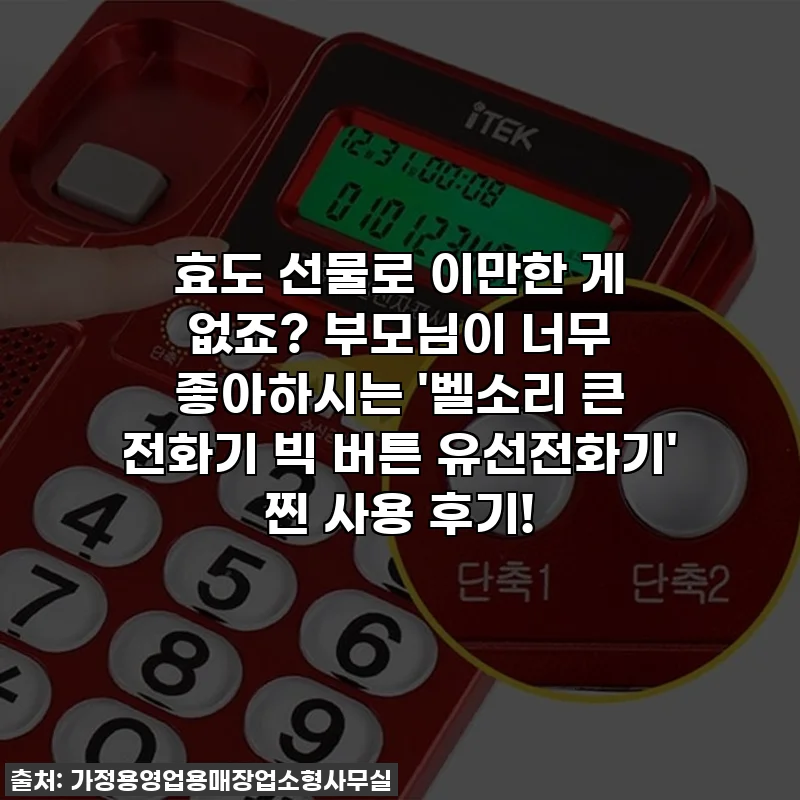 효도 선물로 이만한 게 없죠? 부모님이 너무 좋아하시는 '벨소리 큰 전화기 빅 버튼 유선전화기' 찐 사용 후기!