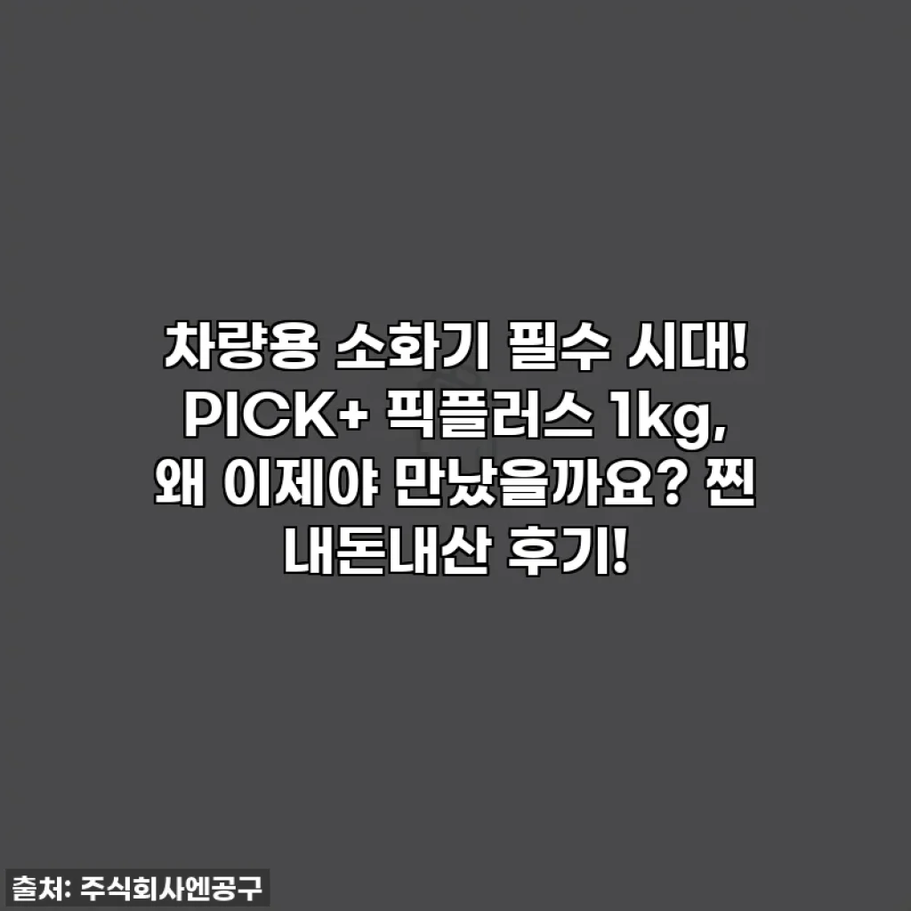 차량용 소화기 필수 시대! PICK+ 픽플러스 1kg, 왜 이제야 만났을까요? 찐 내돈내산 후기!