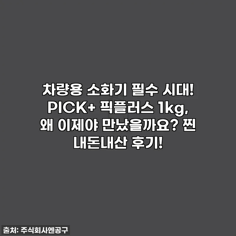 차량용 소화기 필수 시대! PICK+ 픽플러스 1kg, 왜 이제야 만났을까요? 찐 내돈내산 후기!